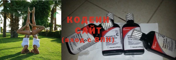 прущие крисы Балахна